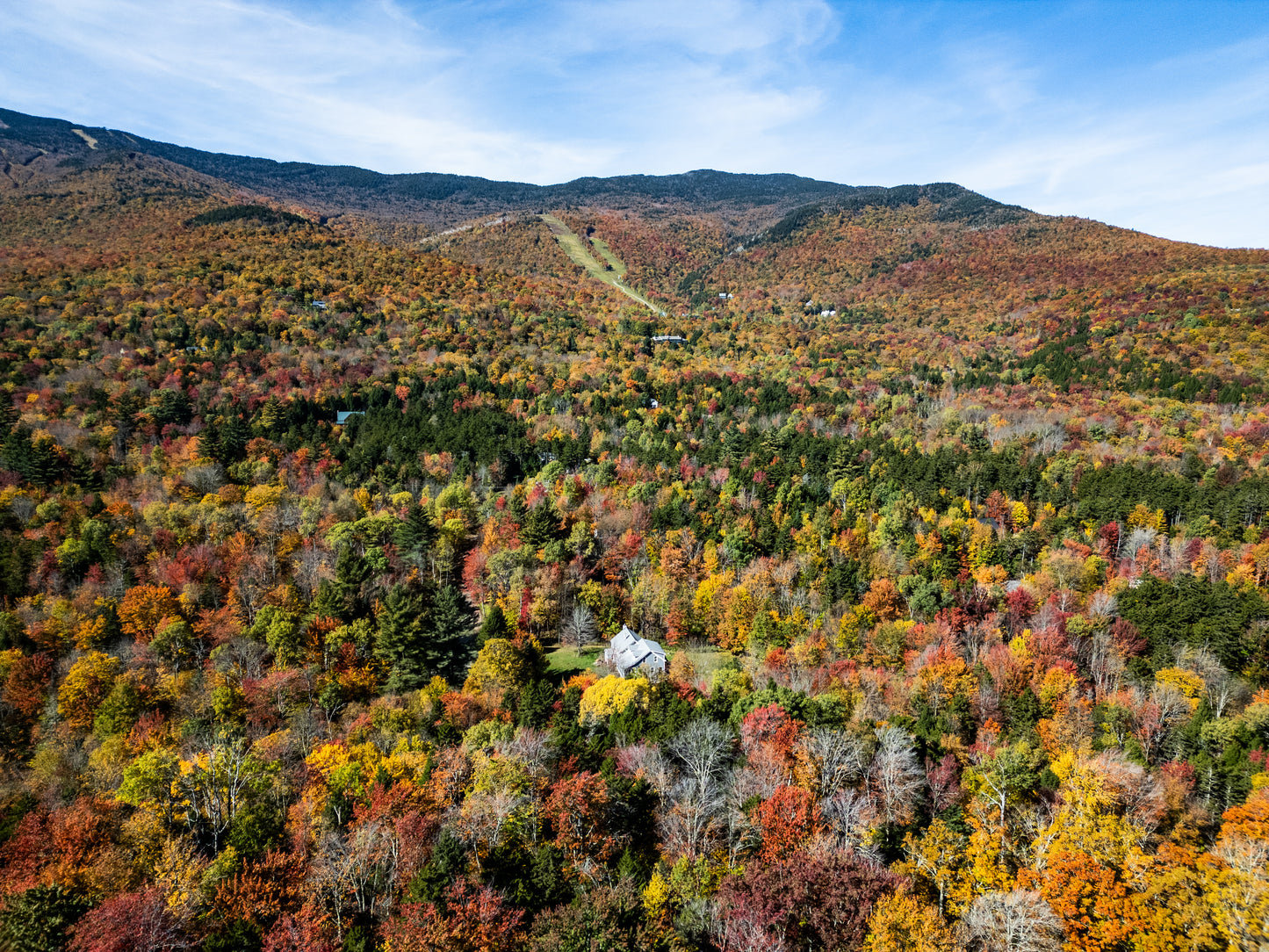 FALL IN WAITSFIELD