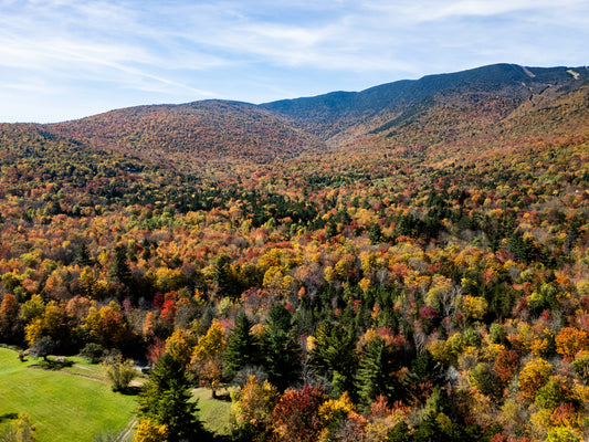 FALL IN WAITSFIELD 2